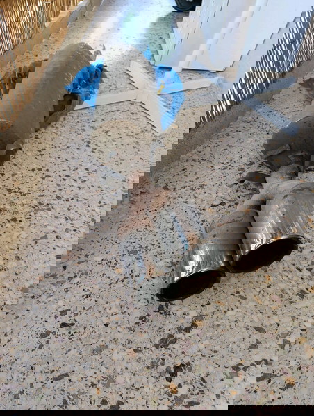 Τελικό εξατμιση