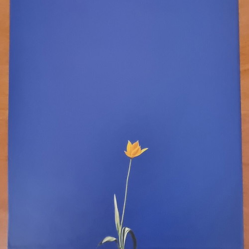 Annual stamp album 2001 new