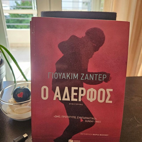 The Brother by Joakim Zander like new, action novel