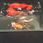 Biophilia 2 x vinyl LP album new, electronic