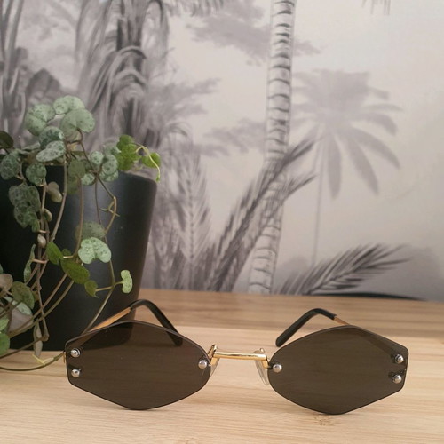DLV sunglasses used in very good condition