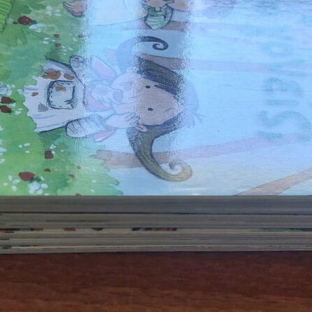 Children's Books Set 8 The Rights of the Child series new