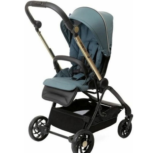 Chicco One4EVER stroller used with two seats and rain cover