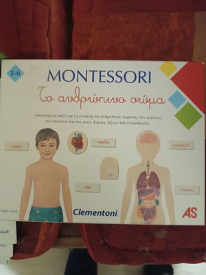 AS Montessori εκπαιδευτικό επιτραπέζιο παιχνίδι για το ανθρώπινο σώμα