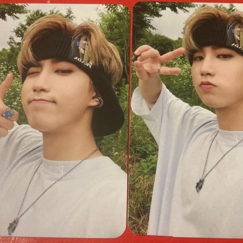 Stray Kids 2022 membership photocards like new