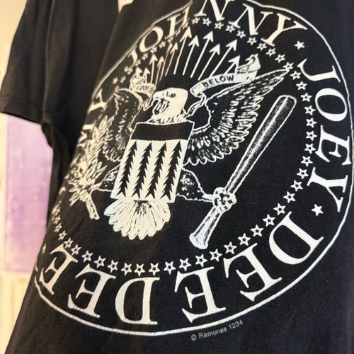 Ramones vintage Y2K merch tee shirt used, size L