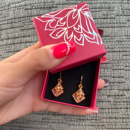 Earrings new brown
