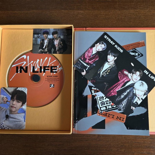 Stray Kids In Life album used