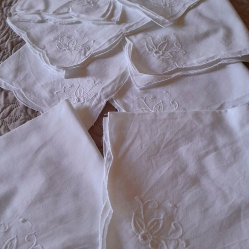 Napkins for food pack of 8 like new