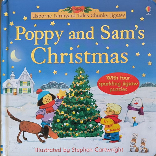 Poppy and Sam's Christmas book with puzzles