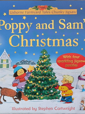 Poppy and Sam's Christmas book with puzzles