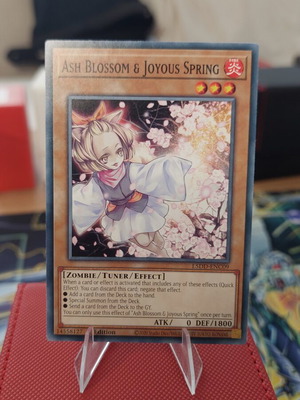 Ash Blossom Yu-Gi-Oh! card