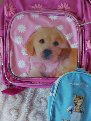 Children's bags used, set of 2 for school and trips