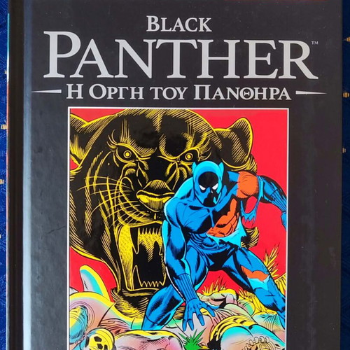 Black Panther: The Wrath of the Panther graphic novel used