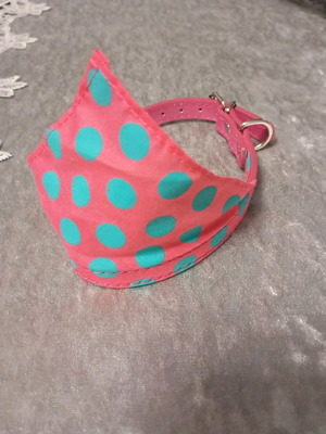 Dog collar for small dogs resembling bandana like new