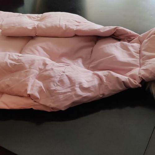 Girls' clothes size 7-8 like new, Zara Kids jacket, Tricoteen dress, skirt