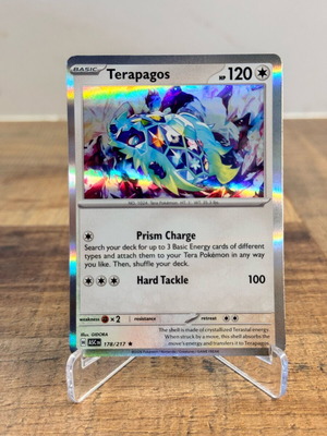 Pokemon Card Terapagos 178/217 Holo Ascended Heroes near mint