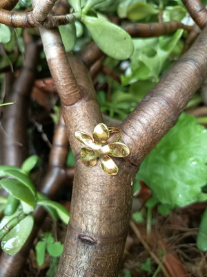 Adjustable ring used, gold-colored
