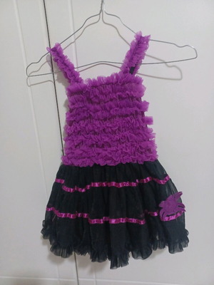 Spider Carnival Costume used