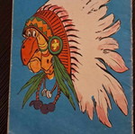 Tom Berry issue 20 used