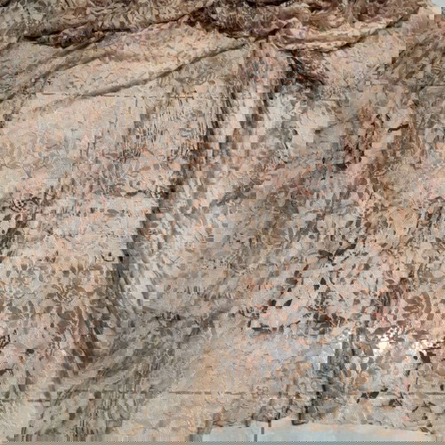 Cotton lace in brown beige shades new