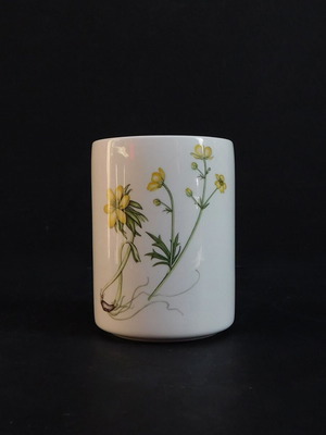 Porcelain collectible vase The Queen Hidden Gardens PORTMEIRON like new