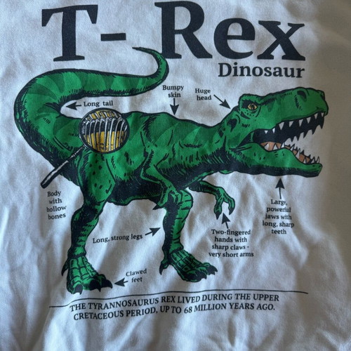 H&M Kids' Dinosaur Sweatshirt used, for 6–8 years, white