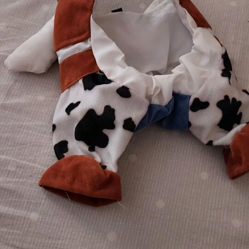 Pet clothing like new, for small dog