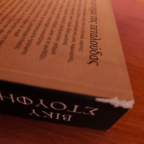 The Enigma of the Butterfly by Vicky Stoufi used, Greek edition