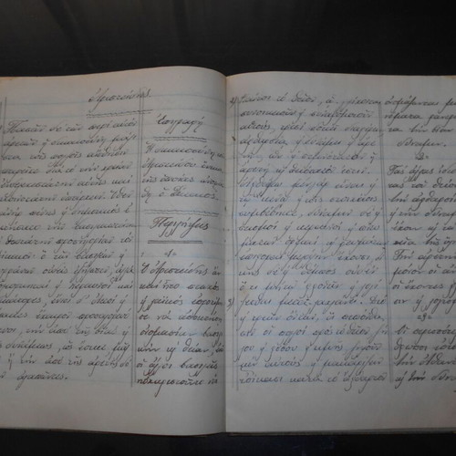 School writing notebook used, 68 pages, Plutarch and Homer notes