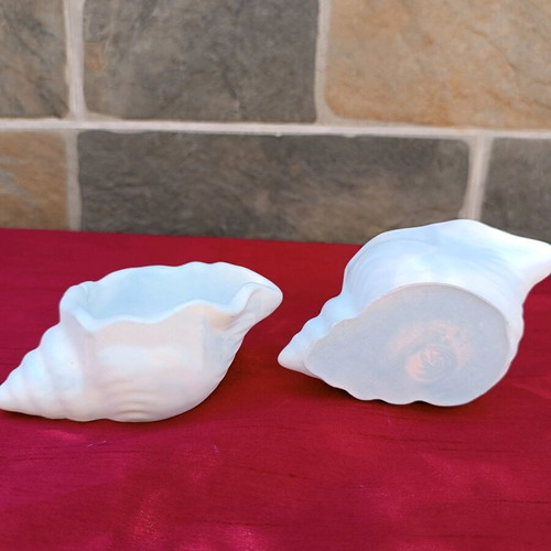 Decorative ceramic seashells new in shades of blue