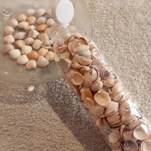 Bottle 0.5L filled with seashells for crafts