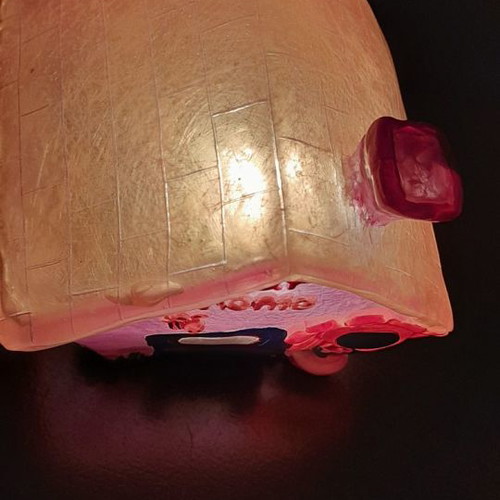 Children's lamp used for bedside table