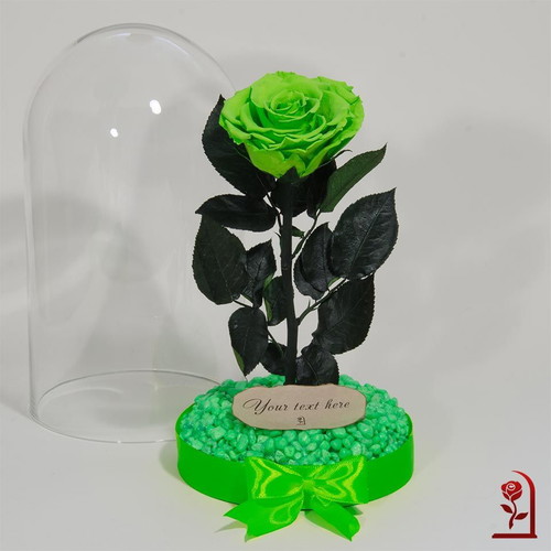 Green Natural Eternal Rose in Large Glass Dome made to order
