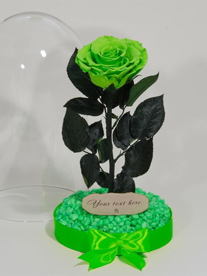 Green Natural Eternal Rose in Large Glass Dome made to order