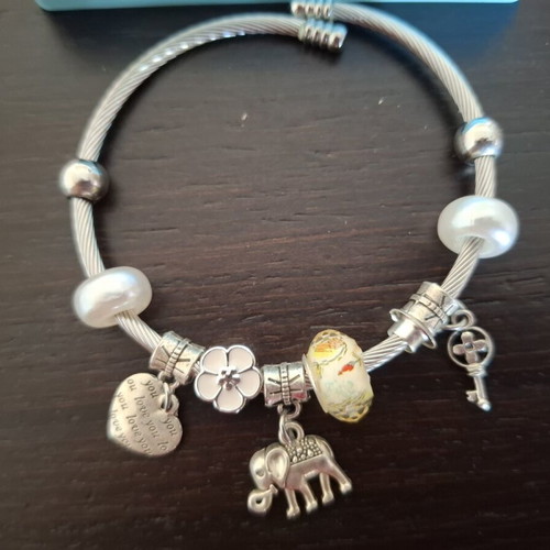 Bracelets with cases like new, sold together or separately