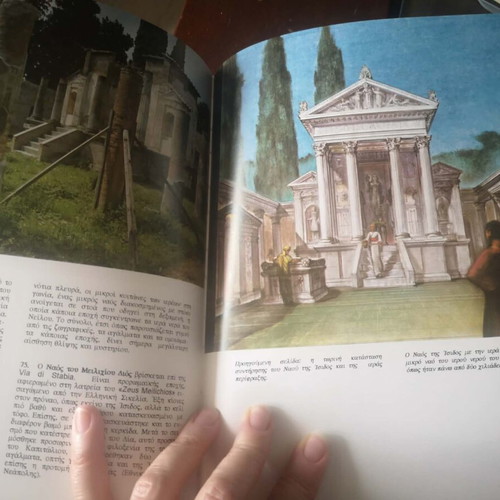 Pompeii Book New Archaeological History and Travel Guide