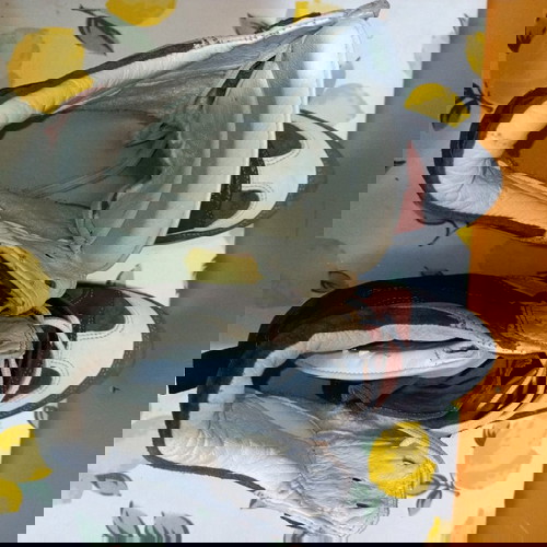 Кожени сникърси Elena Iachi Italy Isabel Marantz Style като ново, номер 41