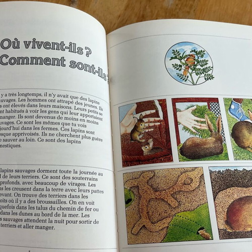 Les animaux sauvages book used, French