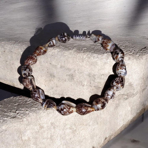 Seashell bracelet with cowrie shells, stainless steel clasp