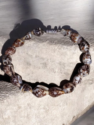 Seashell bracelet with cowrie shells, stainless steel clasp