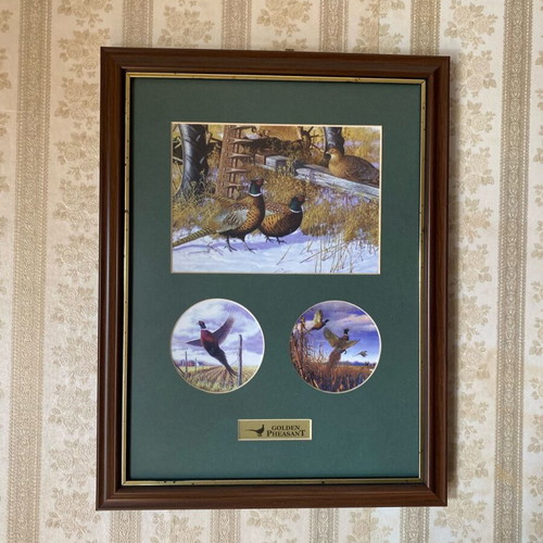 Decorative collection painting with pheasants in wooden frame like new