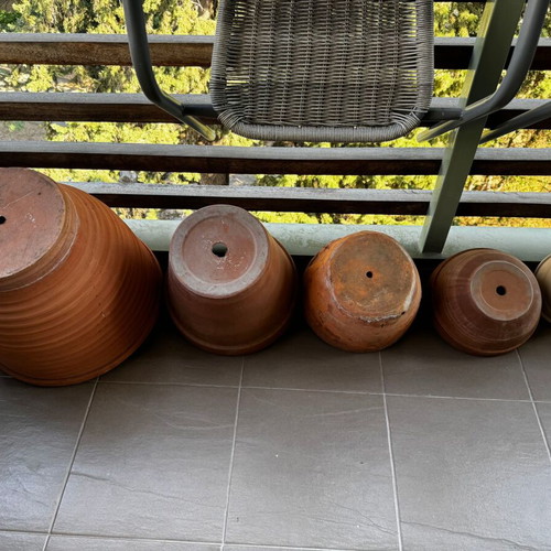 Terracotta flowerpots like new, various sizes