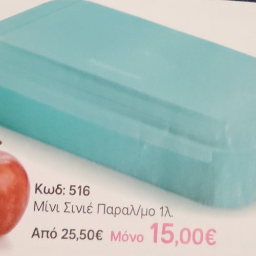 Mini Sinie 1 Liter Tupperware Container New