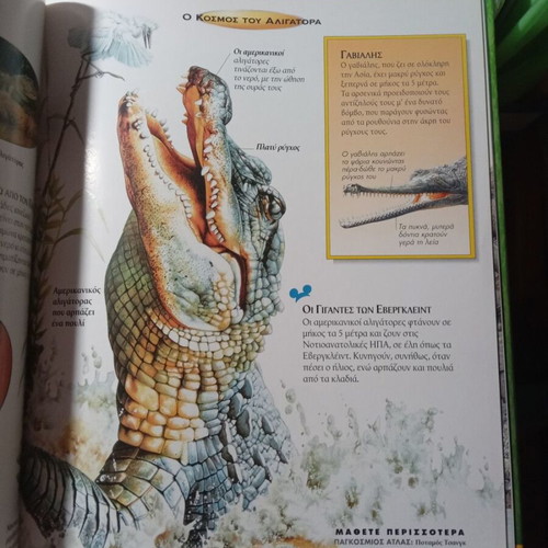 Reptiles and Amphibians Disney Children's Encyclopedia like new