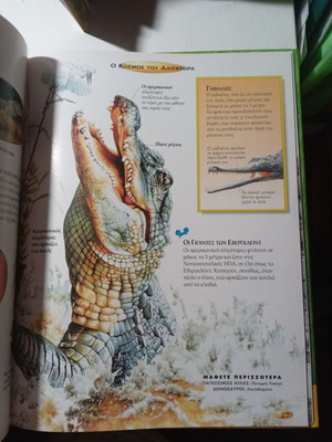 Reptiles and Amphibians Disney Children's Encyclopedia like new