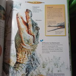 Reptiles and Amphibians Disney Children's Encyclopedia like new