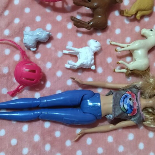 Barbie doll with bicycle and animals like new