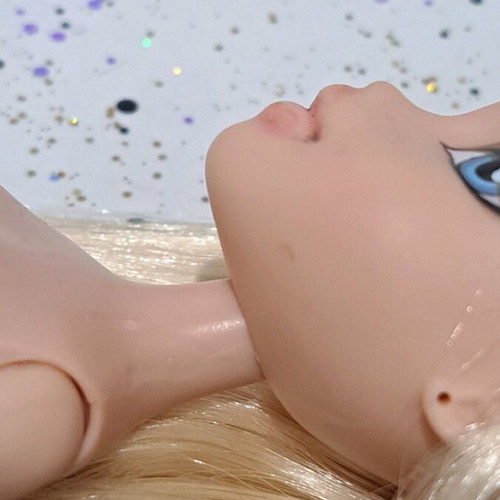 Bratz 10th anniversary Cloe nude used with flaws