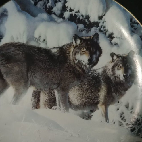 Bradex decorative plate new, Bradford Exchange "Long Distance Hunters" 1996